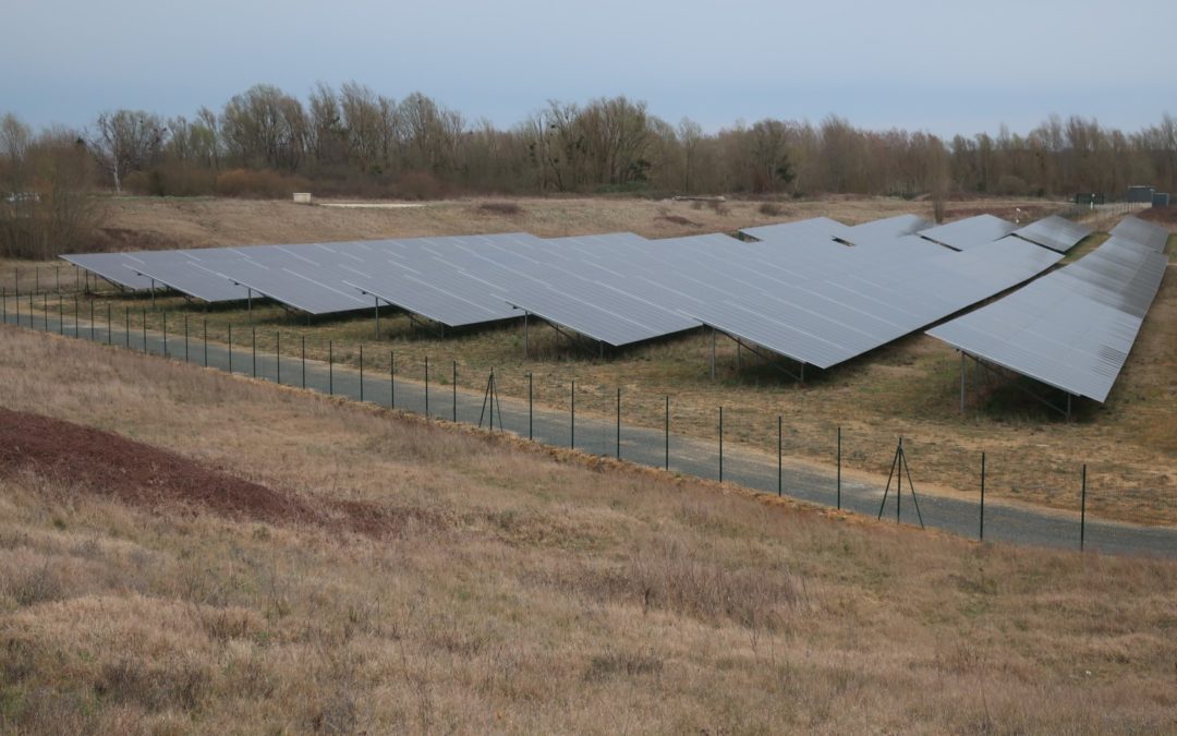 [Enquête] L’étape d’Evitement dans les projets éoliens et photovoltaïques