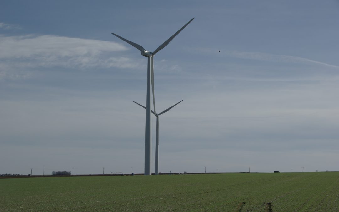 [Evènement] Actes du séminaire Eolien et Biodiversité 2021