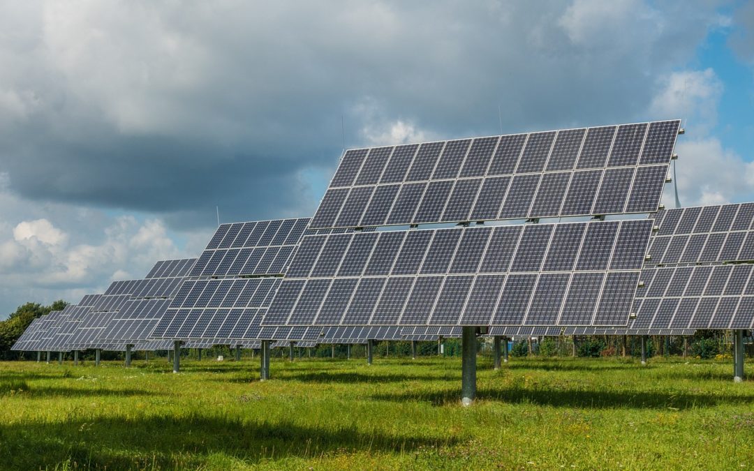 [ETUDE] Centrales photovoltaïques et biodiversité