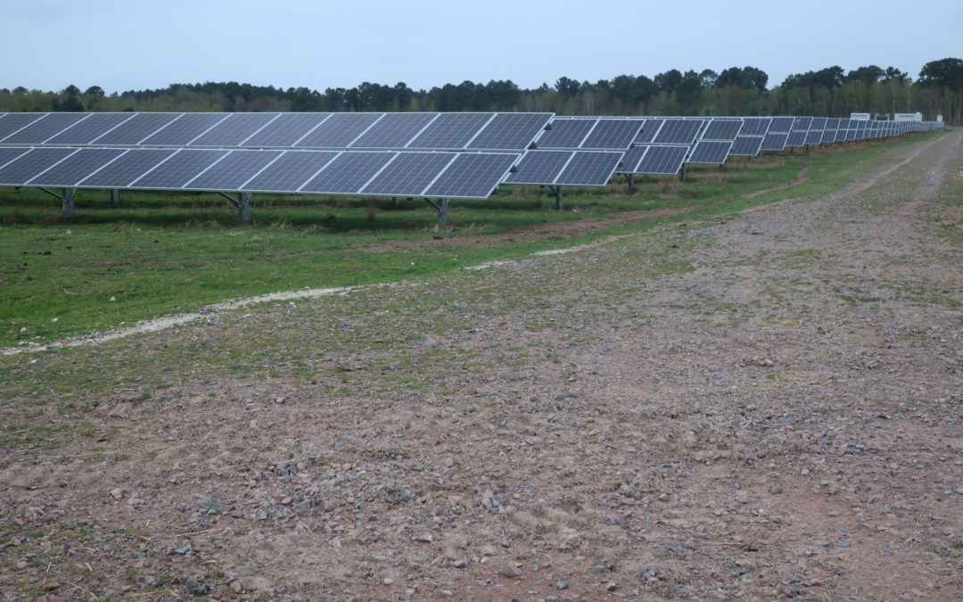 [EVENEMENT] Retour sur le webinaire régional “Photovoltaïque au sol et biodiversité” du 23/03/2023